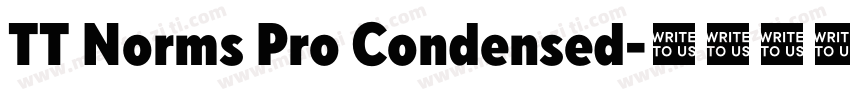 TT Norms Pro Condensed字体转换